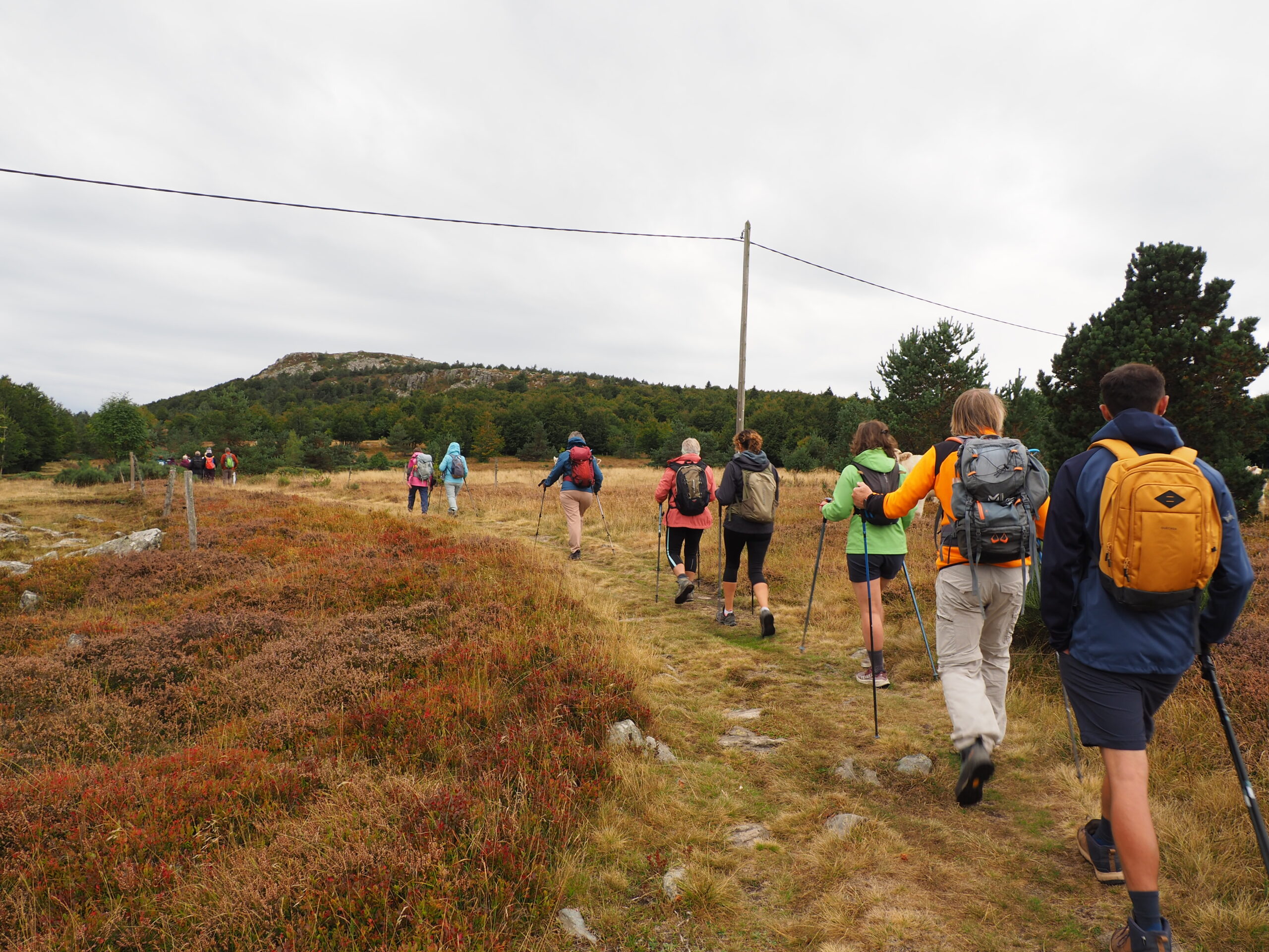 Groupe en marche sur les sentiers de lande