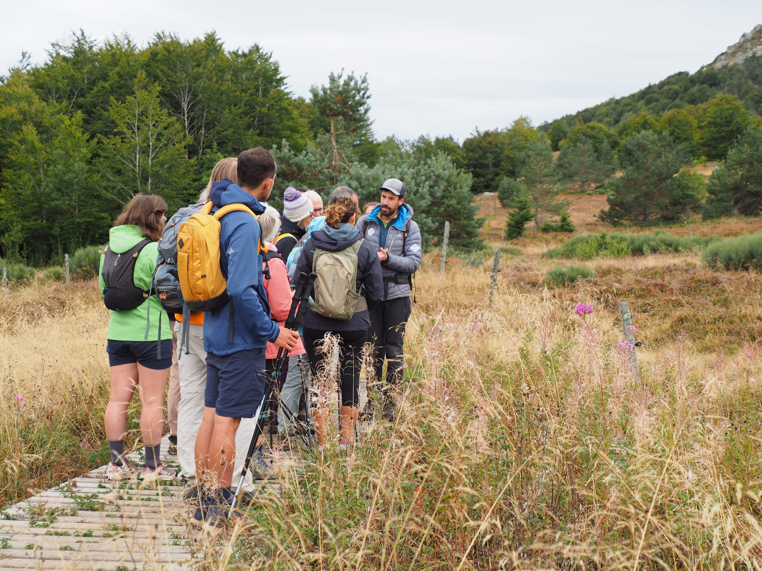 Explications naturalistes sur les plantes des tourbières