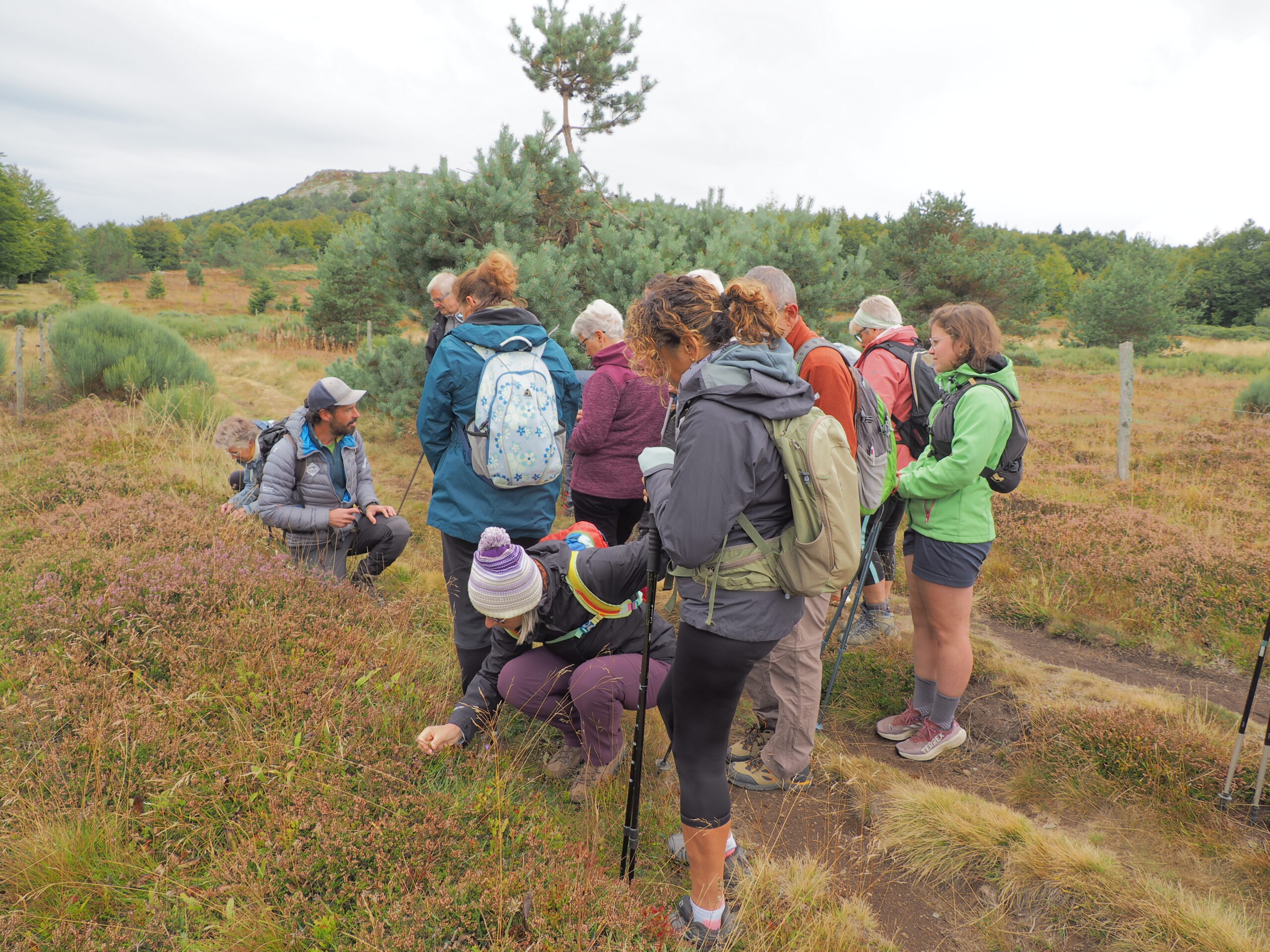 Progression sur un sentier au milieu des bruyères
