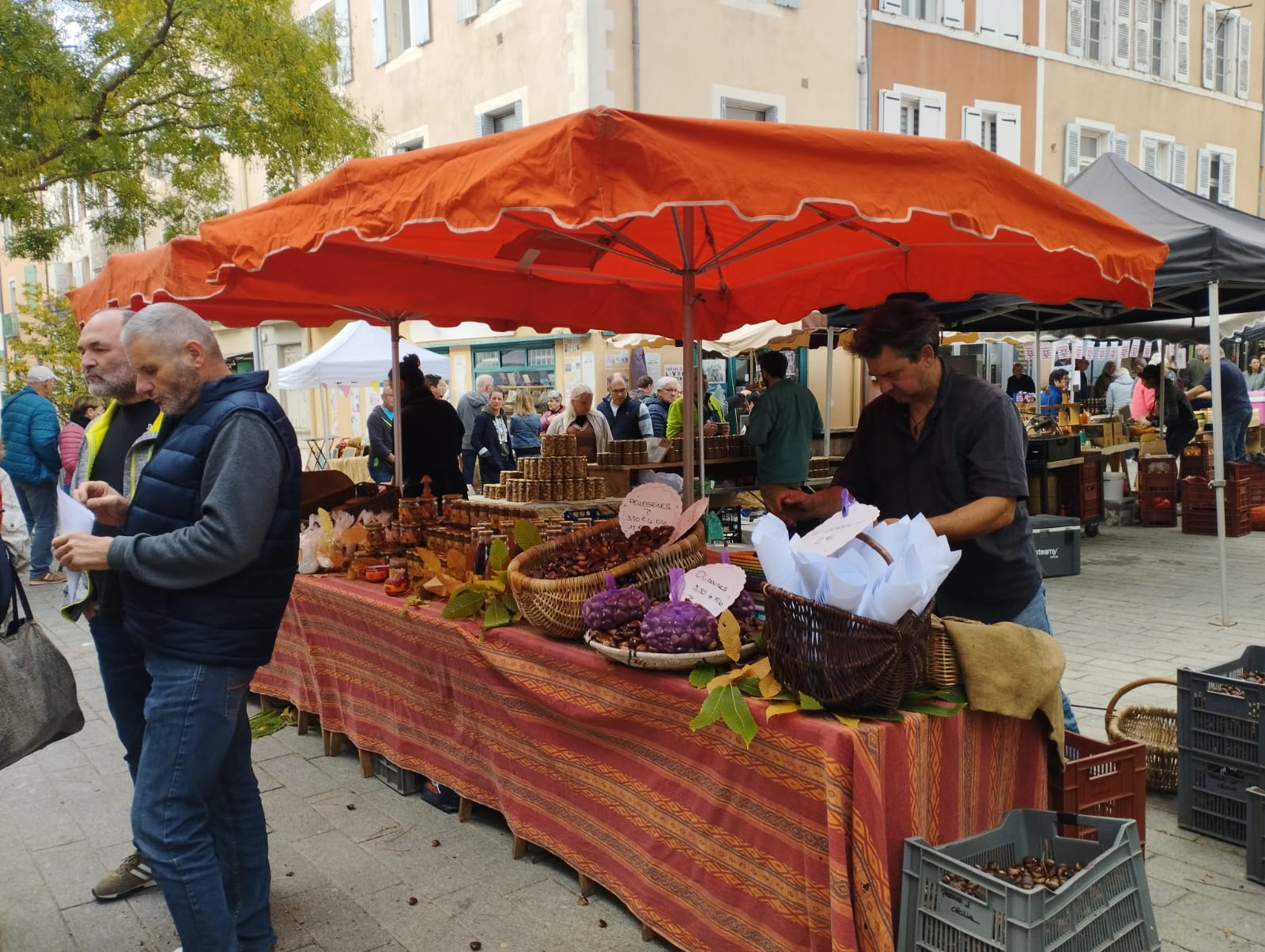 Cheminement sur les sentiers bordés de châtaigniers