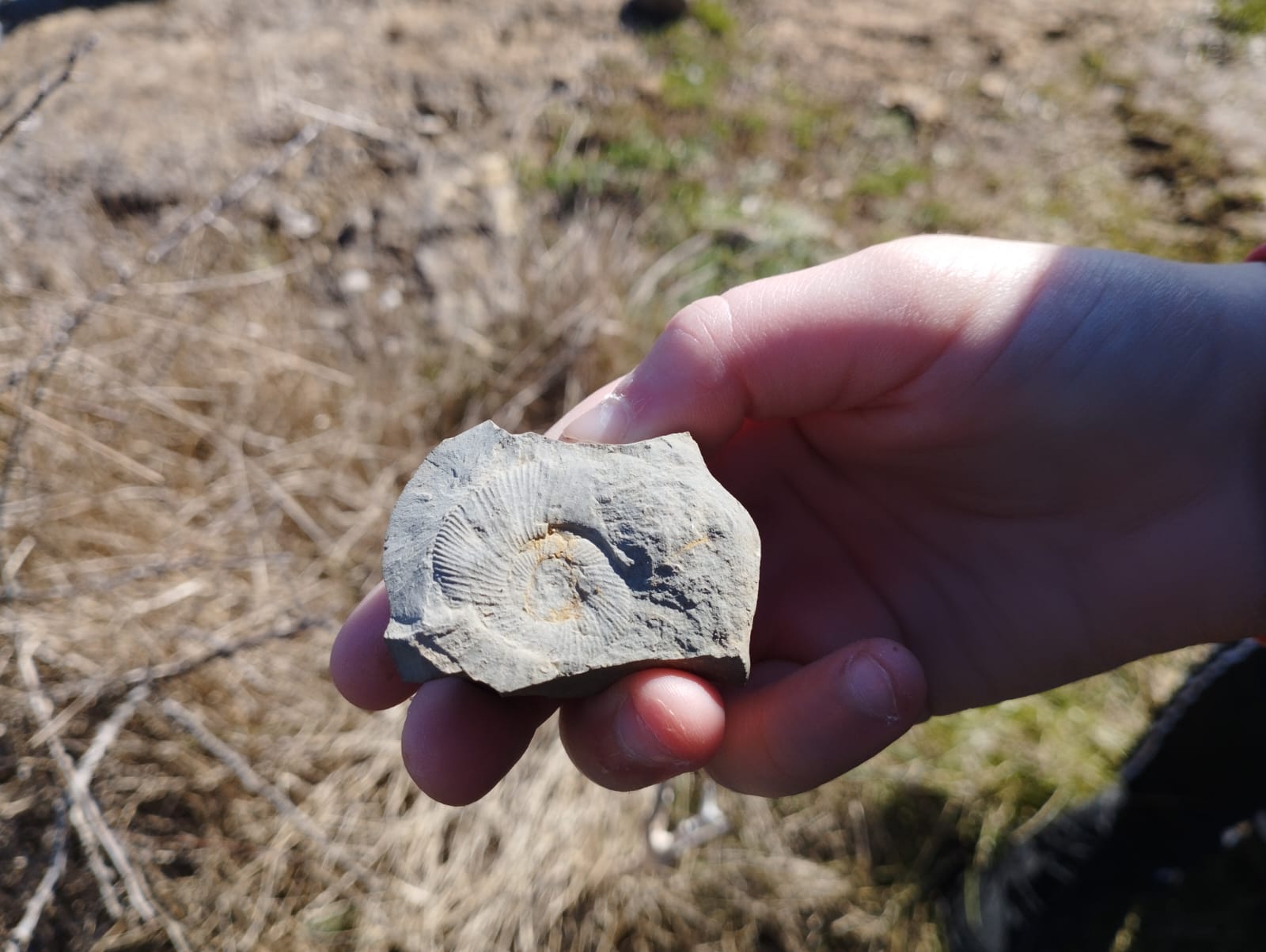 Goûter partagé entre les enfants et bénévoles