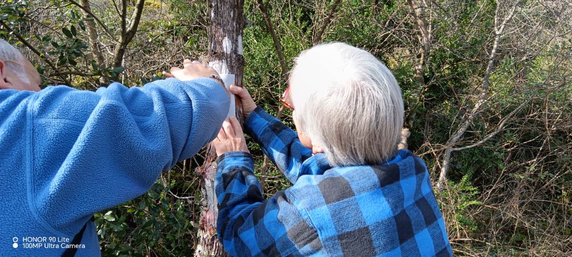 Mise en pratique balisage sur sentier